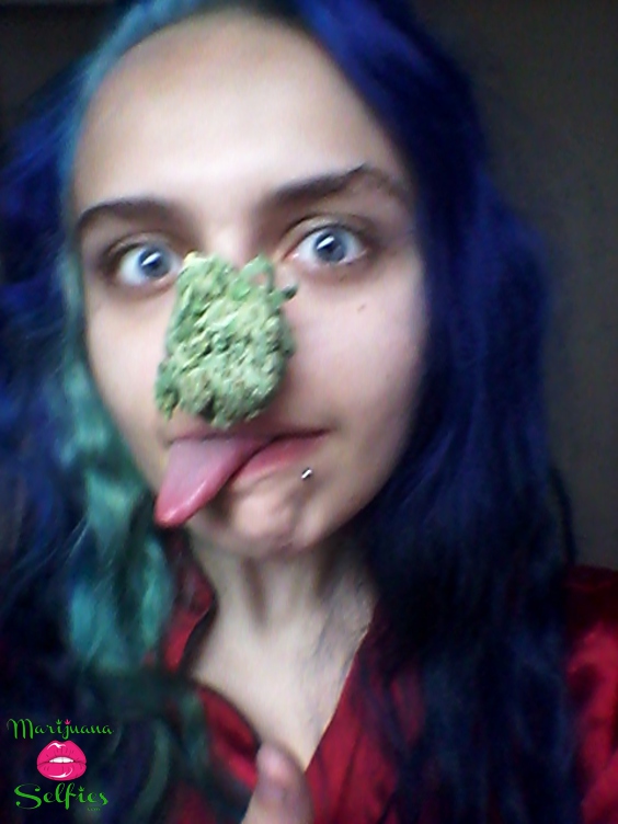 Megan Earle Selfie No. 1195 - Marijuana Selfies