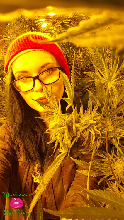 Allie Jensen Selfie No. 2968 - Marijuana Selfies