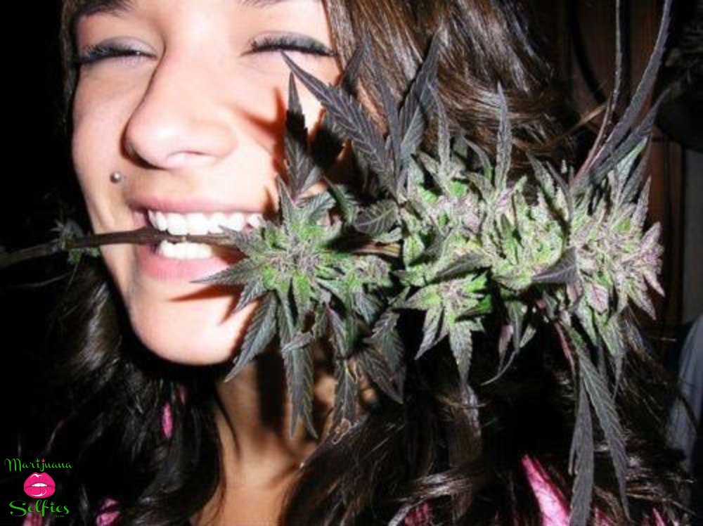 Janet Dahl Selfie No. 3222 - Marijuana Selfies