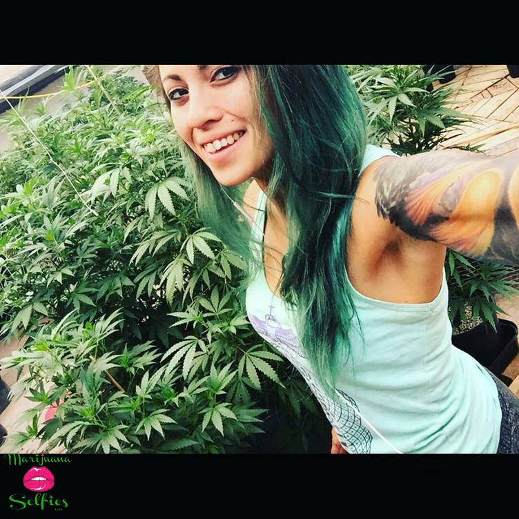 Janet Dahl Selfie No. 3396 - Marijuana Selfies