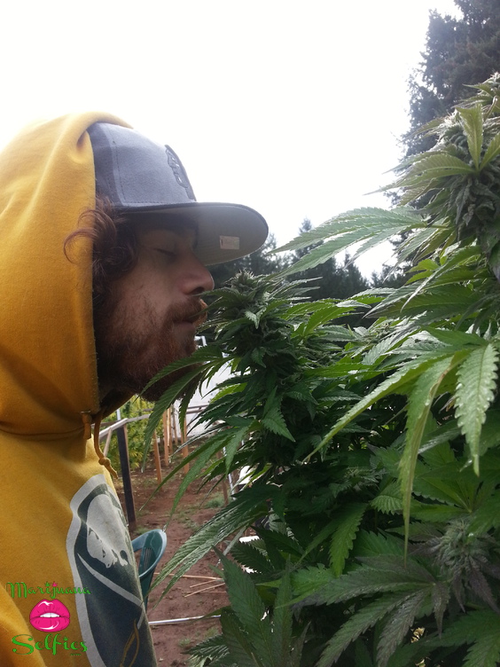 Earl OfBlunt Selfie No. 395 - Marijuana Selfies