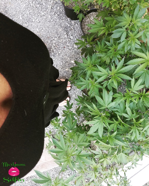 Jenna ðŸ’‹ Selfie No. 4795 - Marijuana Selfies