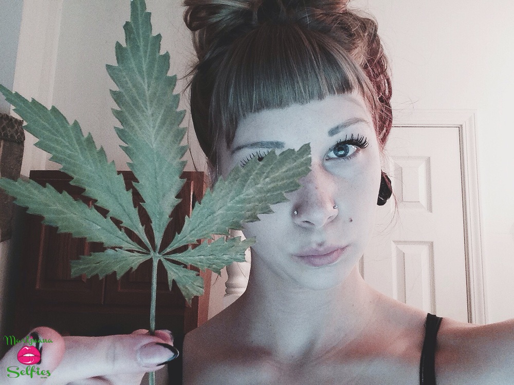 Stephanie Marie Selfie No. 612 - Marijuana Selfies