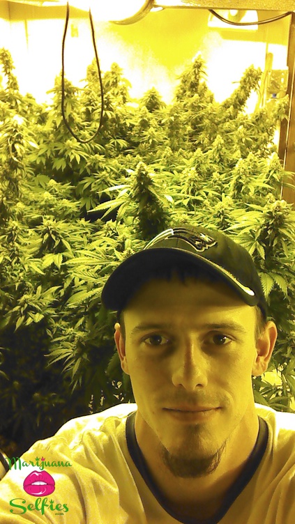 Greenwood Brothers Selfie No. 905 - Marijuana Selfies